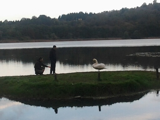 Italie - Lac de Monticchio pecheurs